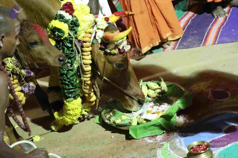 File:20180115 Photo 1051 1ZhrgzDOkH TA jfMFDaslcnQe2QRduqJ.JPG