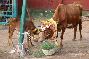 20180115 Photo 1056 1VqcUyIIPNDL18QE6x72Tmc6vIUe-azdH.JPG