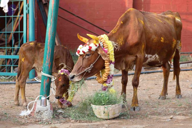 20180115 Photo 1057 14sbnIQ8fuymQUm6OTaSID25ZFxvCrQXN.JPG