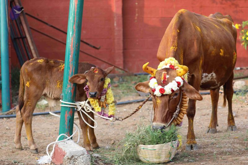 File:20180115 Photo 1060 1rEOuPDf0wibC1BJ3Da-6xfidq7JxRncH.JPG