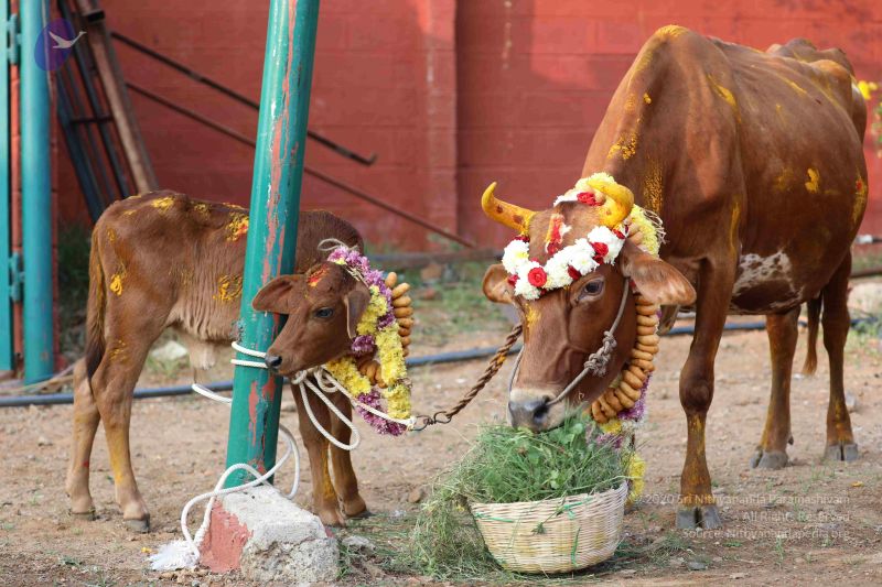 File:20180115 Photo 1061 1snEh2-IGwFsXauEcimX1gagooVsU TAl.JPG