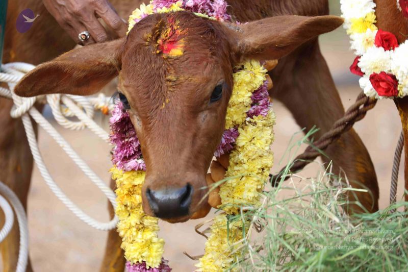 File:20180115 Photo 1062 1ZTs9faTuurcg-HwCgF-ZUs8syivtZ53D.JPG