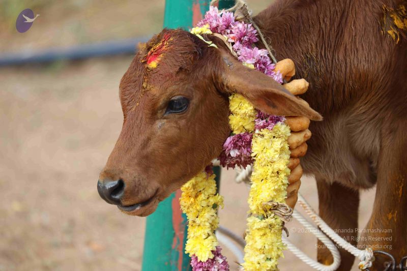 File:20180115 Photo 1064 1i6mQFqS59VQgzwAwzRugIDd1zbWqXg2R.JPG