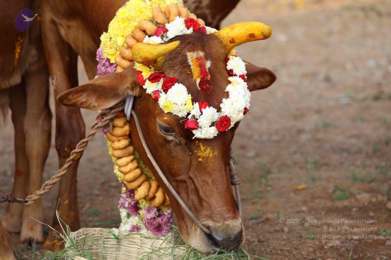 File:20180115 Photo 1067 1rJCXpvH6aMWmcdK6r5-nJWTYo5FTR9EO.JPG