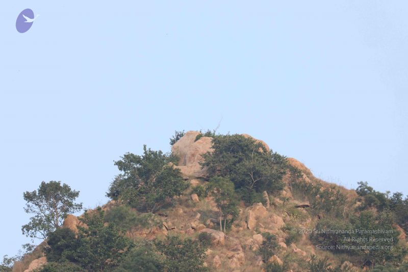 File:20180115 Photo 1069 1G guRHKSrhtFcwe2DxjYy-OmFjIIk9u5.JPG