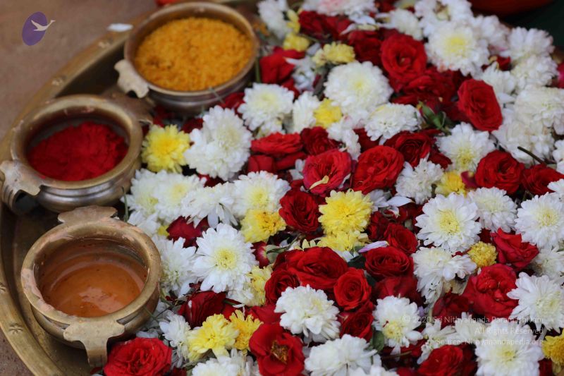 File:20180115 Photo 1071 1b tFyRTIwkzMW8z0swV526tsMXC6MX2e.JPG