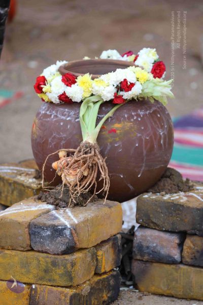 File:20180115 Photo 1074 1PHhrabEM4eB2WRLxJ4oWpmQpXtYZeTSk.JPG