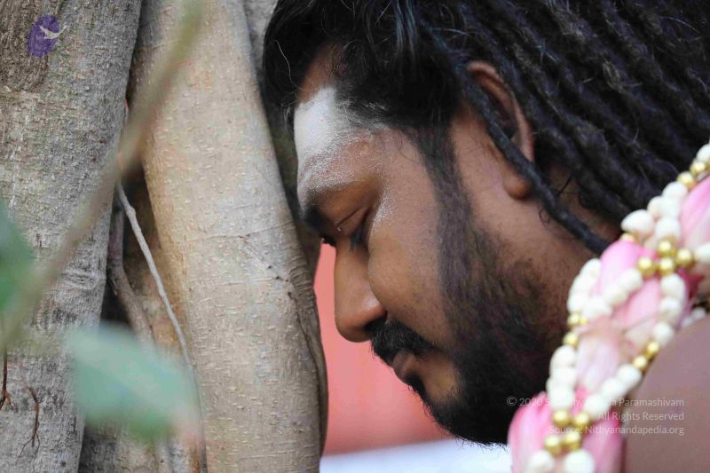 File:20180115 Photo 1083 1d-Z-sHHBUWZpgHNJfM3t1tYLkgENS Gt.JPG