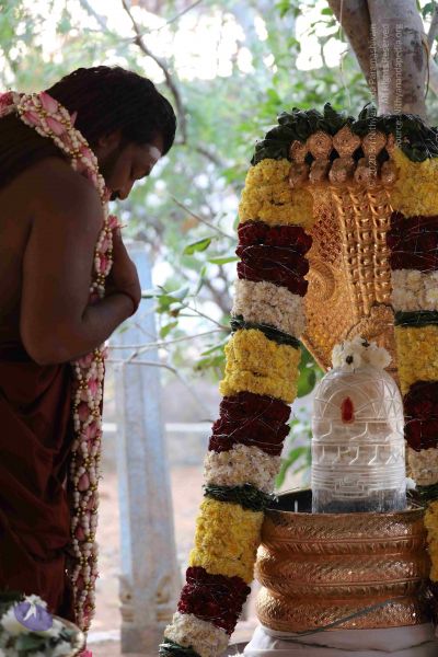 File:20180115 Photo 1086 11B9ZT1pdrW-s-V0kD20NcZpW3E4MDNK .JPG