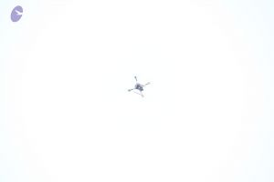 20180115 Photo 1114 1gadf30qTlWH0IiJsZ6n-O VTYjZIhu5l.JPG