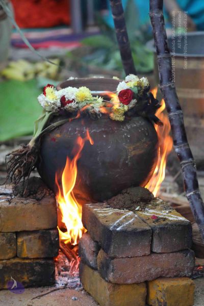 File:20180115 Photo 1123 1T2kuIeJhDQRIKqP7XMPDhlrMZ dsQOVW.JPG