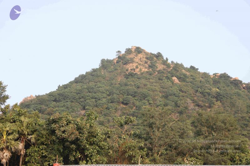 File:20180115 Photo 1142 1x-j90oeh4SD2vWpiAYEjh4QoGOL4PiXU.JPG