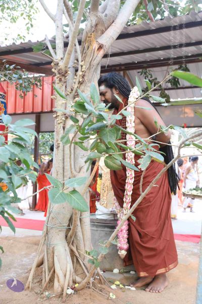 File:20180115 Photo 1151 1ZTRRPyvFC157LnXj4V1H1Lz4p4K4crl2.JPG