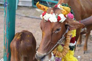 20180115 Photo 1182 1TfgD371WClhsZABbvvNjYOiCd-69py-R.JPG