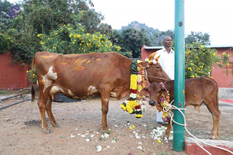 File:20180115 Photo 1184 1wYLNKapd9Z-kZH1lCV2YqJki1po1OS8G.JPG