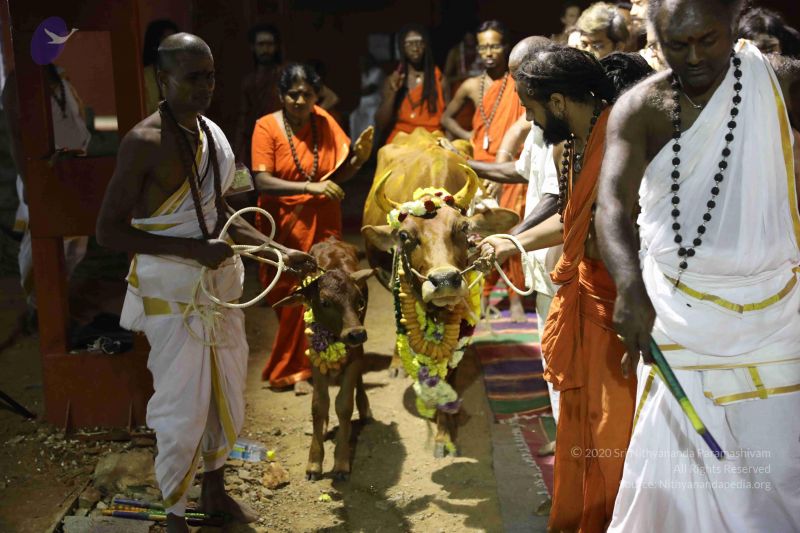 File:20180115 Photo 1208 1Zd lwb1JOpRxcG7MRJUOxGb5Quau9fYL.JPG