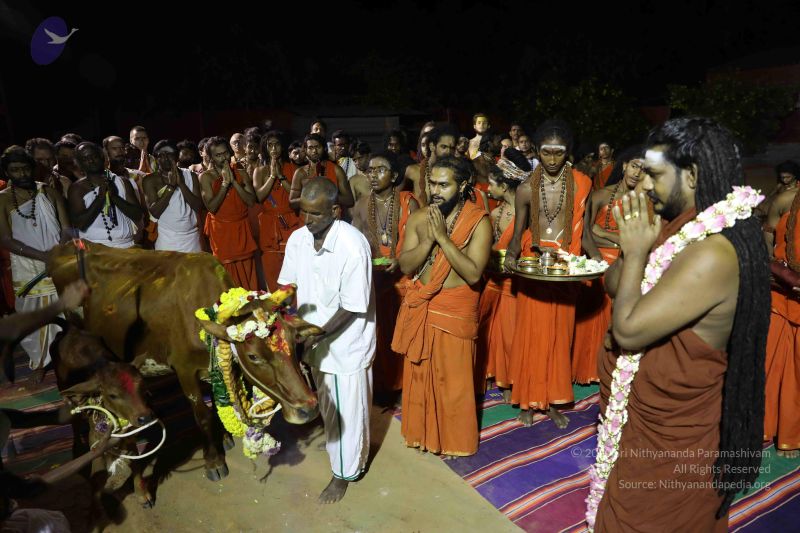 File:20180115 Photo 1213 11a-RxwLFqcKGNxawdaNuHKt3AxT1AgqW.JPG