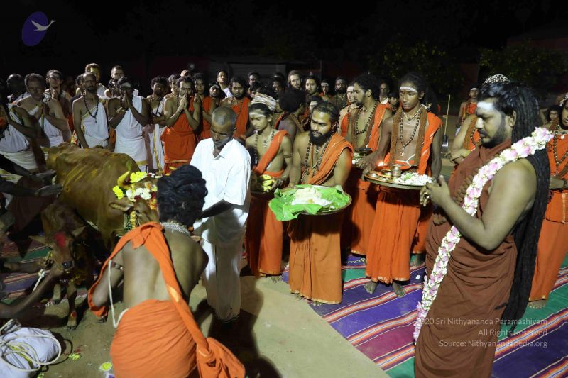 File:20180115 Photo 1218 1r2sIgULAHpyGpE8LwMneUhidLZrbZdN7.JPG