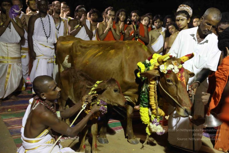 File:20180115 Photo 1222 1S9f-coO08LR3SxXqNYQPMQ-xmLz4Od5Y.JPG