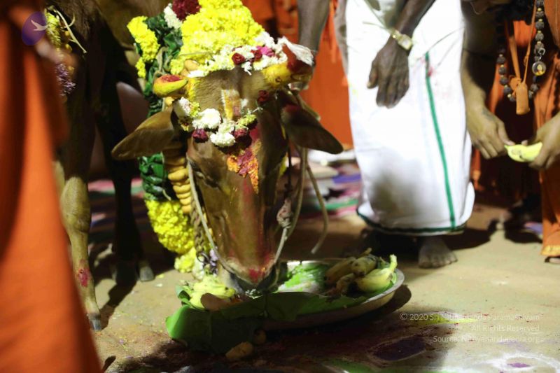 File:20180115 Photo 1224 1ip6QyEAKwNH7E5QDuxuaKwlK2i7fSfi0.JPG