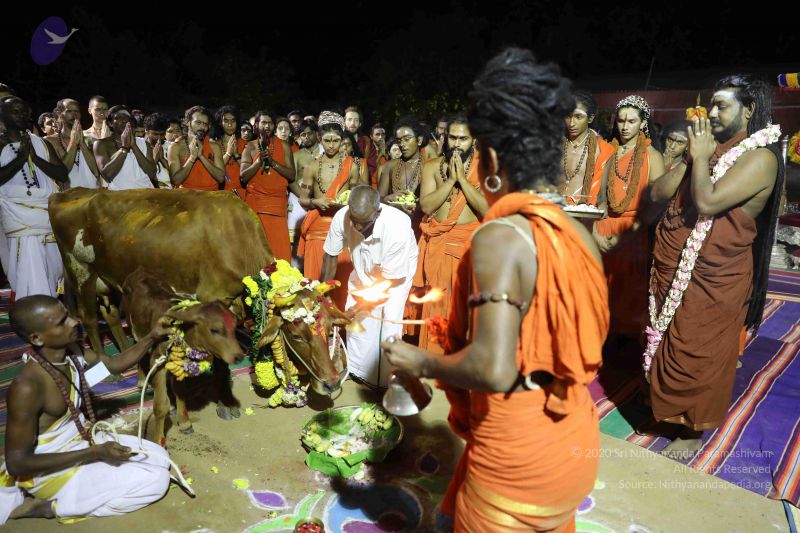 File:20180115 Photo 1227 1megXBBvaeJaHn6yMJzmn-Qjf8UZfy324.JPG