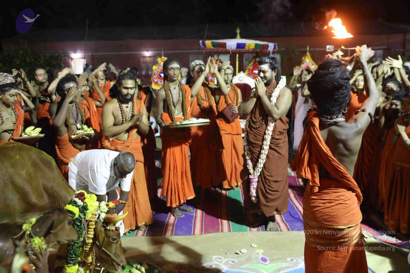 File:20180115 Photo 1228 17f1uAj1D aiTIAEFXfpiR1rzmYRCNlXL.JPG