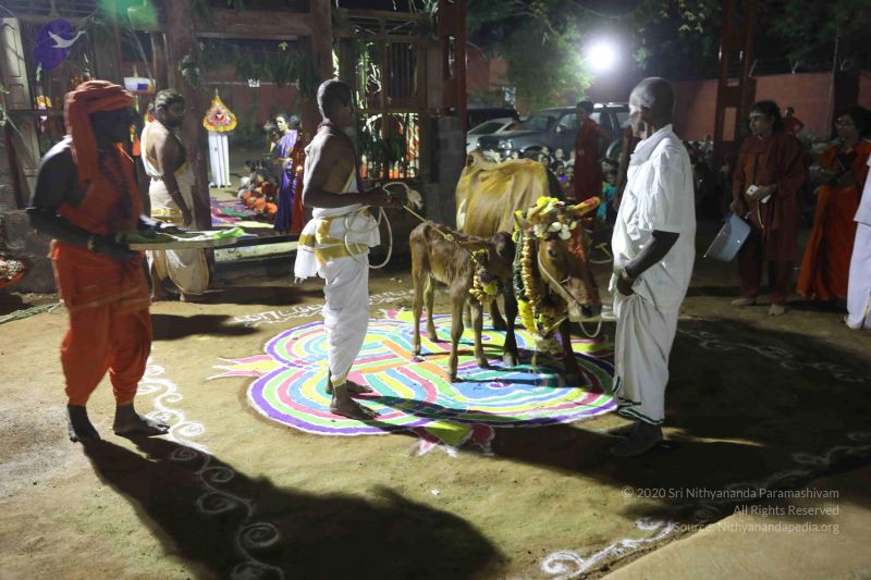 File:20180115 Photo 1235 11mSCIwoZJ-jUehP09MJ1vh65g rxJXHq.JPG