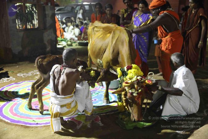 20180115 Photo 1236 1EgvYDSzUSU97s2rQ5UHb0c3PrMvTGkPW.JPG