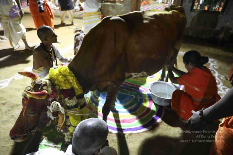 File:20180115 Photo 1238 1QZxdSd0XS2IKJUJ2QDhTCaFOEbH-xmi5.JPG