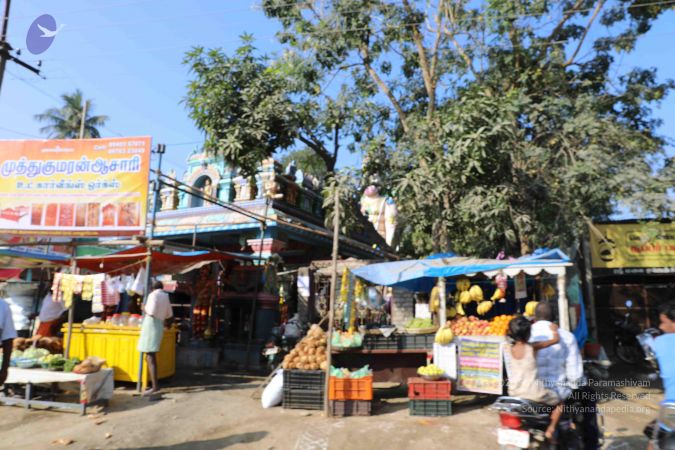 20180118 Photo 1001 1xsJOJkZyNehlaxr8oKwmCMuF3xYCcmIE.JPG