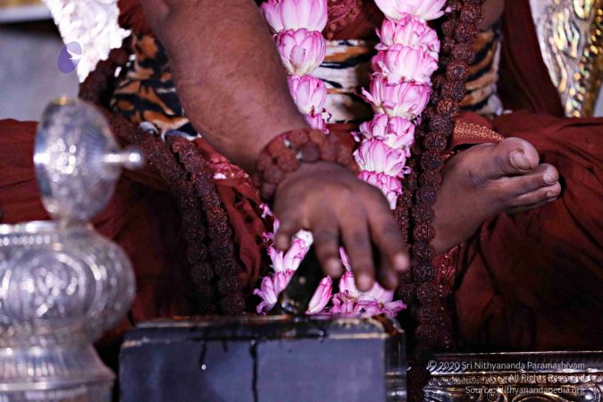 20180131 Photo 130 1yiP8tY8HWGgHj7ViMf3vzdbDdOFN5inF.jpg