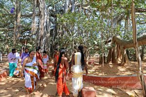 20180201 Photo 109 1rORjq9jfjAHsSU-aYfqSBquzIfTAlg-z.jpg