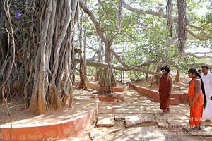 20180201 Photo 137 1brrVseHpyxBu0RQHB0apxRwtXt10dAfm.jpg