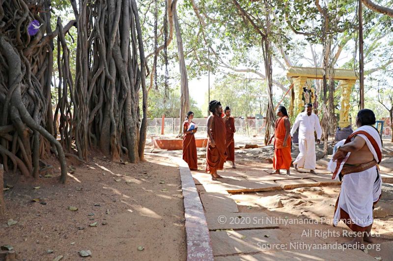 File:20180201 Photo 140 1m-PhqFP14IhqUCnTW4vtnjVhDY2MdGzn.jpg