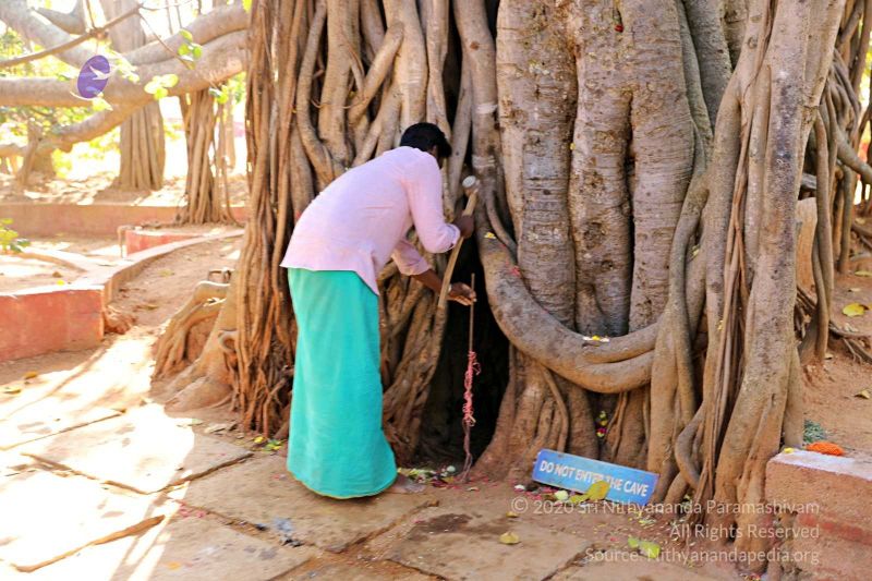 File:20180201 Photo 167 1 LUQ4PFNVFy42LiIJ rnmt6PR8axjKeS.jpg