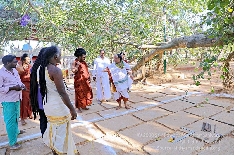 File:20180201 Photo 174 142JR5eMCZx0eTkM2PFkBinR4ImfbbzFm.jpg