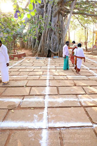 File:20180201 Photo 227 1JsVx90xqxHkpZ3jFP3cAr tetCBPhbmN.jpg