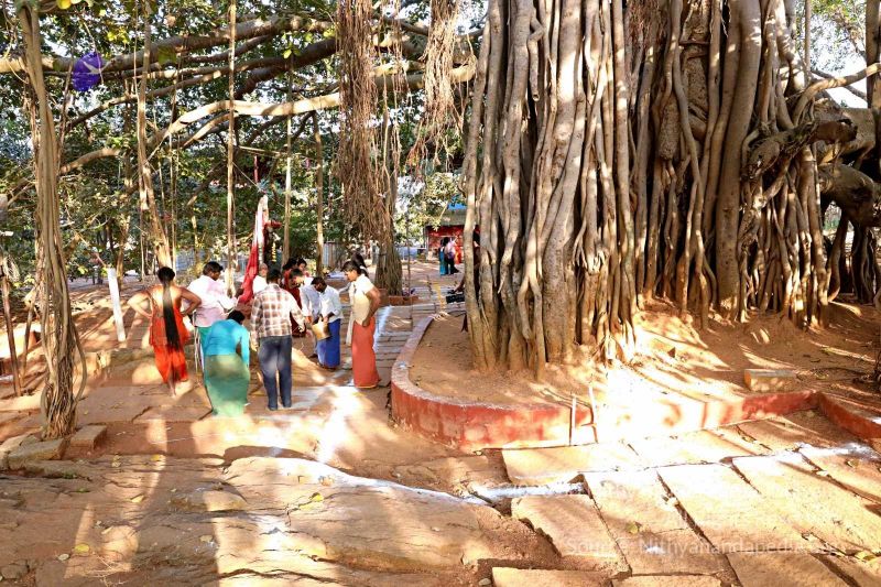 File:20180201 Photo 248 1ZWDMo4LBg5GLhSHVoZMxz7oWi9DRz1eB.jpg