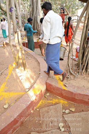 20180201 Photo 256 11-1fccVH00xxNqgq5lLQTbFX-3cBQeSR.jpg