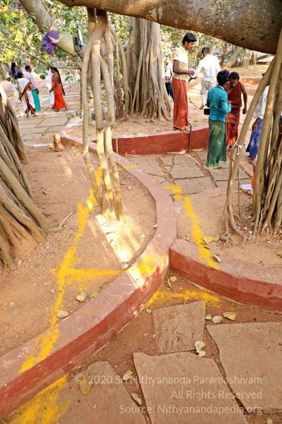 File:20180201 Photo 257 1JQvYVGC8Mv9XS3PzVuWmYg2go4v41cKa.jpg