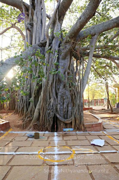 File:20180201 Photo 269 1 hHv9k2iSXk KX20WBw5Xtf8u-Sb6XI3.jpg