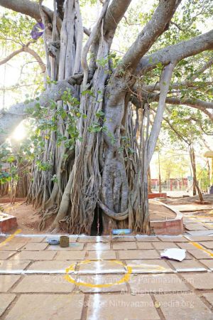 20180201 Photo 270 1qSy3ib7qpQ-N71L22i-UaHbXxJQ3sekN.jpg