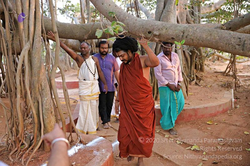 File:20180201 Photo 310 1QsDStIUMjgmW AxWZqKwiOUyzh7pSTEb.jpg