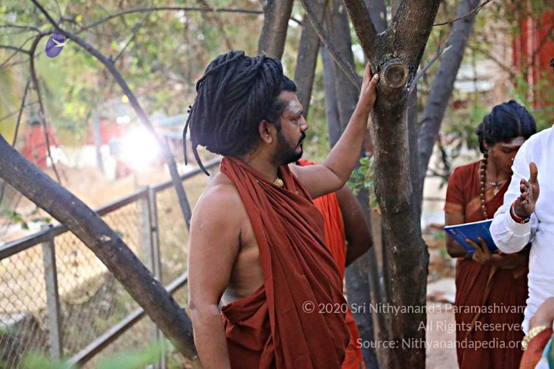 File:20180201 Photo 436 1og0a0OQZ Wtl6tpw7QmVfJ0cjDfwT11W.jpg