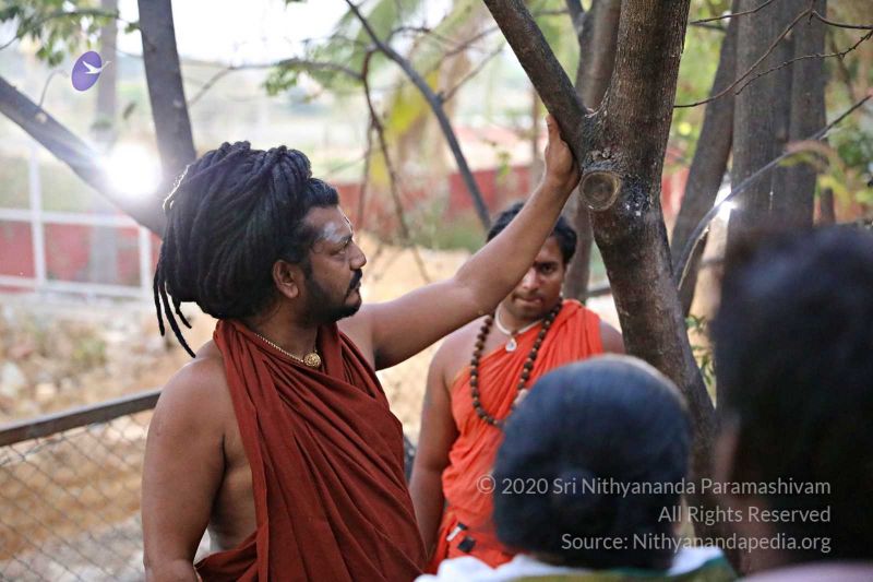 File:20180201 Photo 437 1OhnPMQ2uRLxt3OiYUGZwijtkxPOcWrtv.jpg