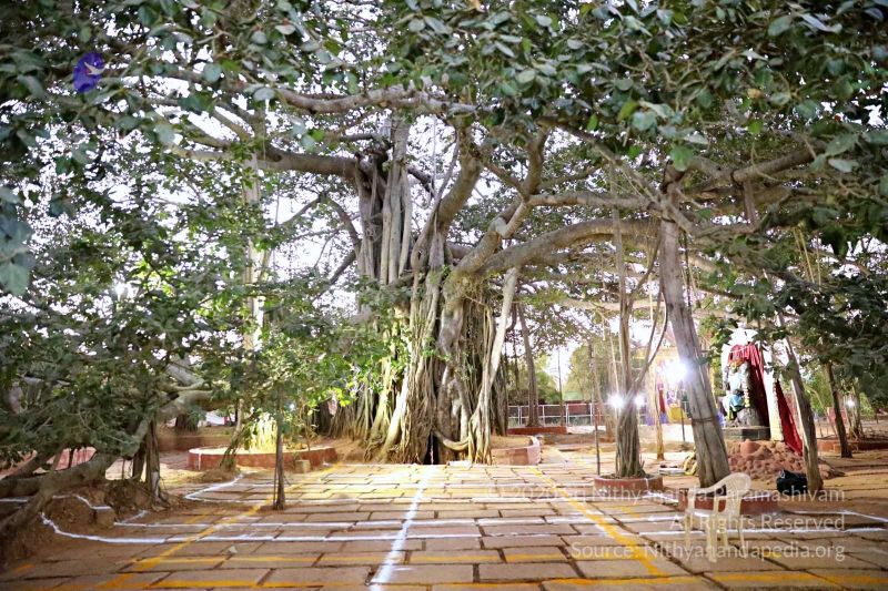 File:20180201 Photo 453 1Far5dsZRtL8htvQJRgaV5nenP9kuISY1.jpg