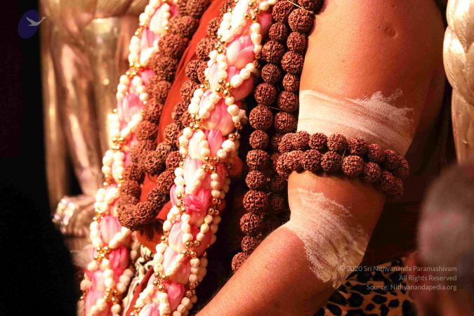 20180213 Photo 1023 1rHtll1RveCRvsfbSf14dnvkiLzvzvNYD.JPG