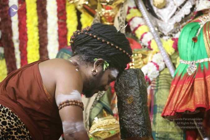 20180213 Photo 1447 1xzx6ta7ORvkTTjAtEysccxiojK4-nS2A.JPG