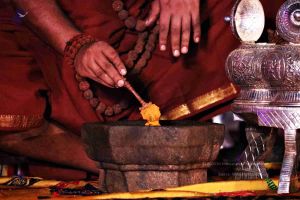 20180303 Photo 379 1X5NHPPCKehazfkhC8tnzYfu1vevnnYG2.jpg