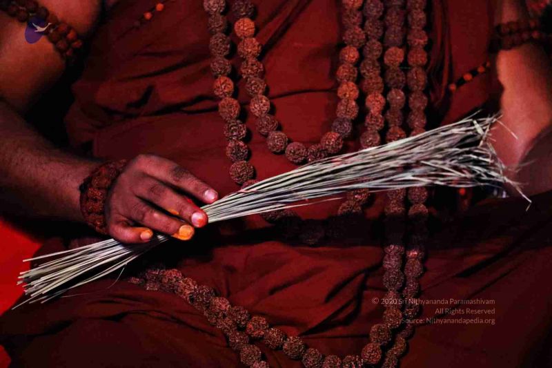 File:20180303 Photo 392 1UeHDzSBJxEfm79CYVBW3ZR277kxSvOFZ.jpg